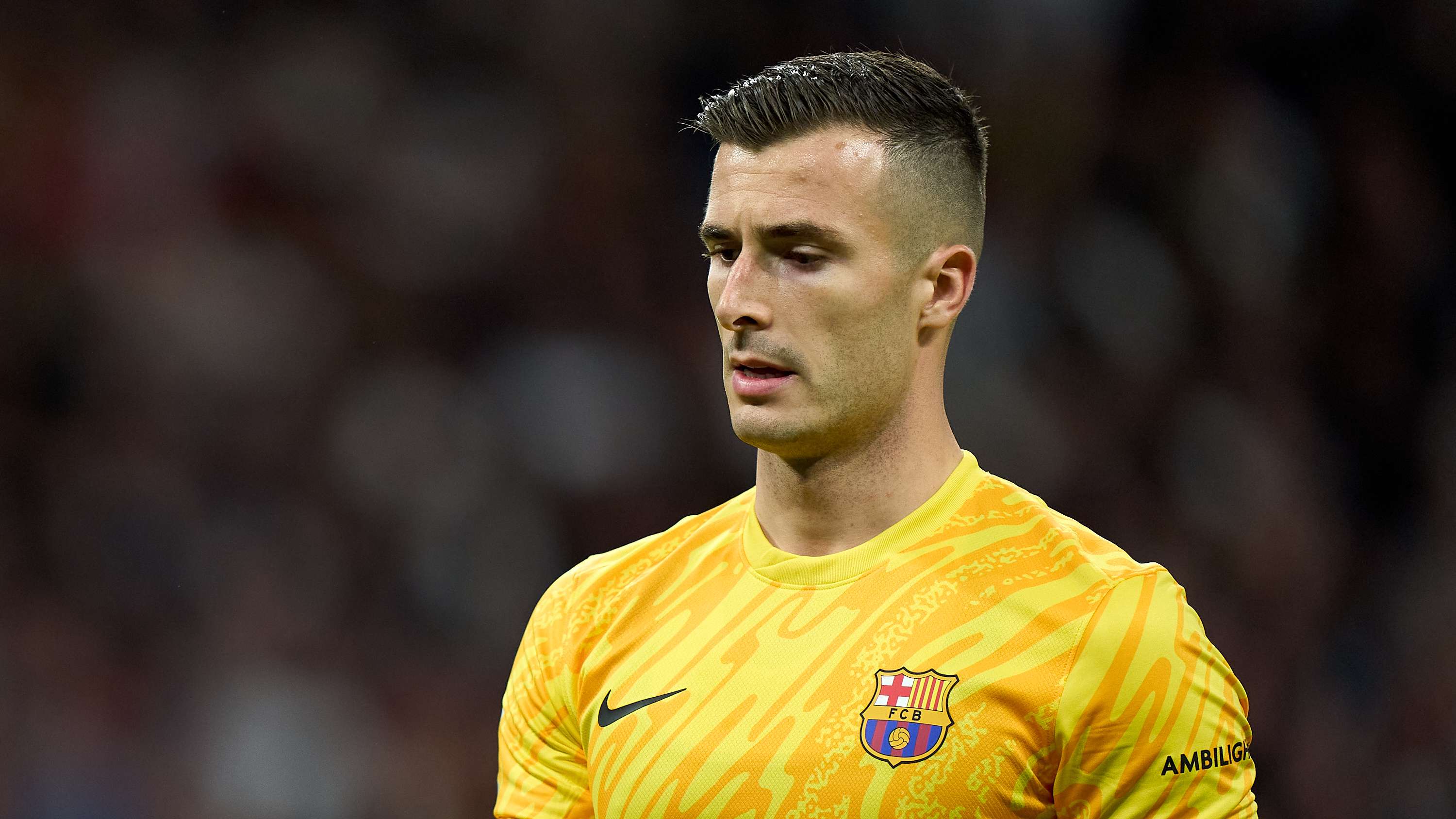 利物浦鸟象征的深意与热刺背后的鸟类文化探讨