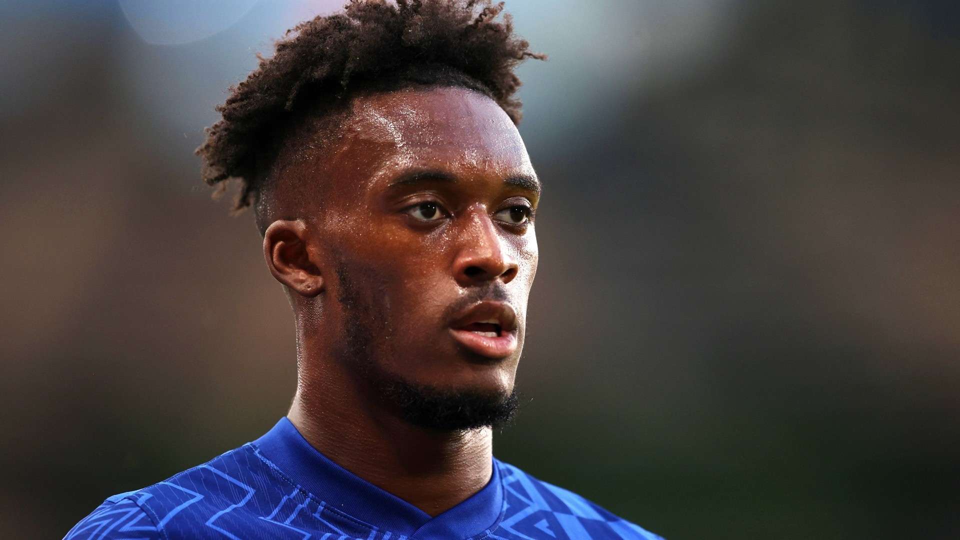 我们看到了 我们看到了