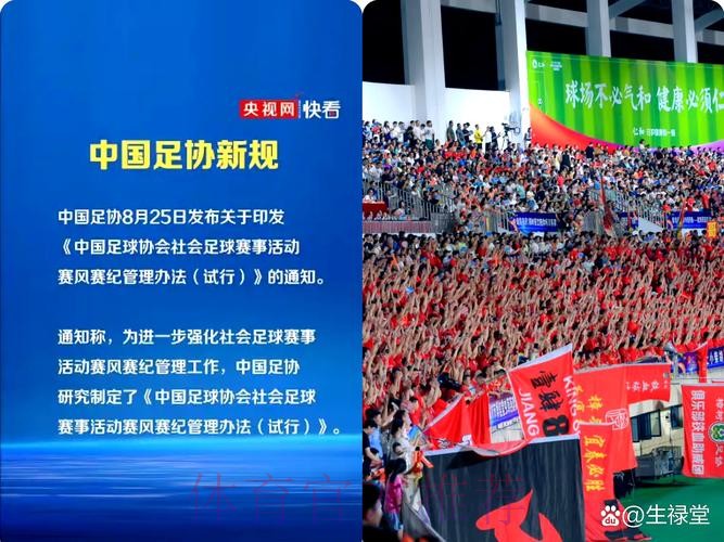 中国足协召开第十届第九次执委会:逐步完善组织职能 纵深推进体系改革